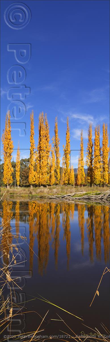 Peter Bellingham Photography Reflections of Gold - Bright - VIC V (PBH4 00 13900)